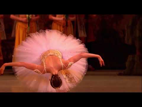 LA BAYADÈRE - Gamzatti Variation (Anastasia Matvienko - Mariinsky Ballet)