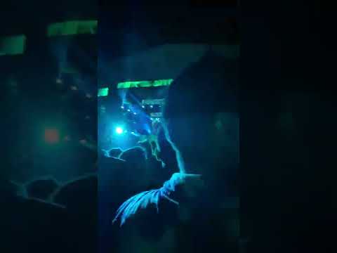 Chris Lake - Lollapalooza Chile 2022