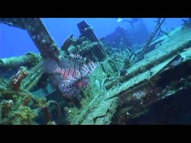 Cayman Brac Scuba Diving with Reef Divers
