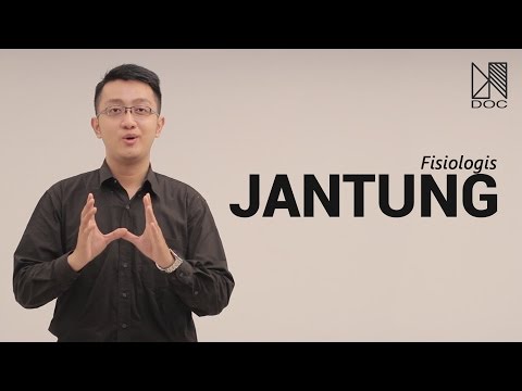 Perbandingan obat untuk meningkatkan potensi laki-laki Berarti untuk potensi peningkatan lovelas