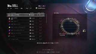BIOHAZARD RE4 城散歩