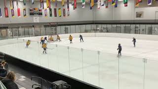 Game 2 (Stars and Stripes): Lionel unassisted