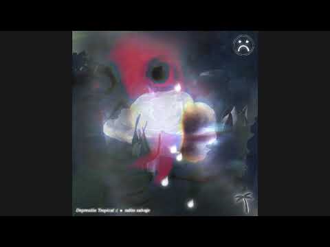 Depresión Tropical - Salón Salvaje (TYU remix)