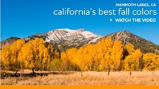 Top Fall Hikes by John Wentworth of Mammoth Lakes Trails System
