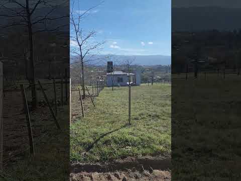 queres invertir en las sierras de Córdoba _ Villa yacanto es el lugar. valor 10.000 dolares.