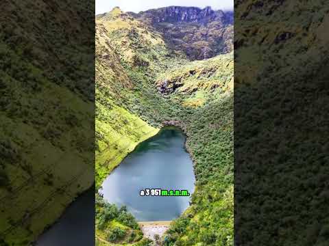 🌿💧 En Huayllabamba (Urubamba, Cusco), la Laguna Yanacocha reposa entre bosques de queuñas