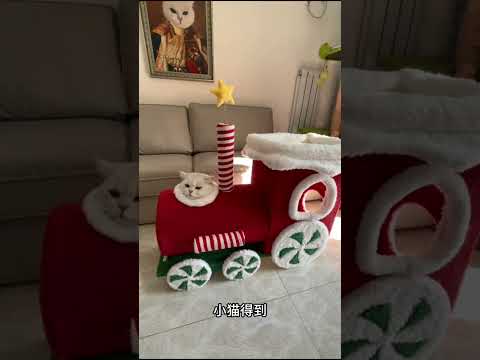 Her İstediğin Alınır Mı?*