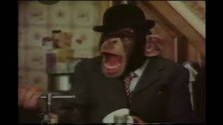 Bernard Cribbins   Right Said Fred