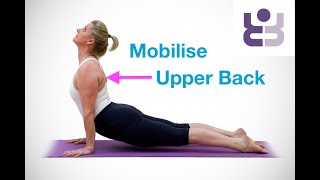 Mobilise Your Upper Back - Intermediate Iyengar Yoga Class