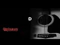 "Little Darlin' Pal of Mine" Jam Track