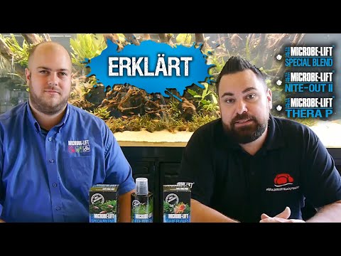 Grundlagen MICROBE-LIFT Special Blend, Nite Out II und TheraP - Besuch bei Aqua Design Black Forest.