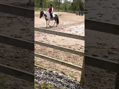 Leinster trec D-Trec leg 1 open class 128/170 1st place