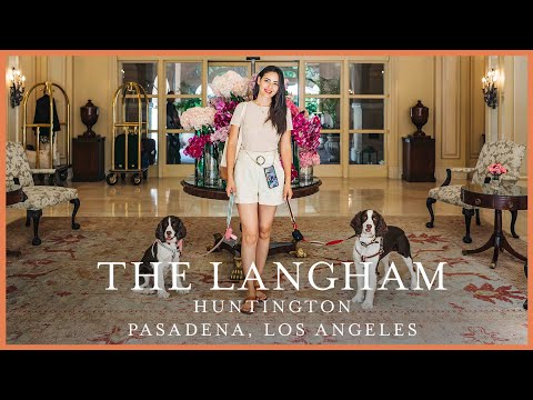 加州帕薩迪納朗廷酒店帶您的愛犬體驗奢華之旅 (Experience Luxury with Your Pup at The Langham in Pasadena, Californina)
