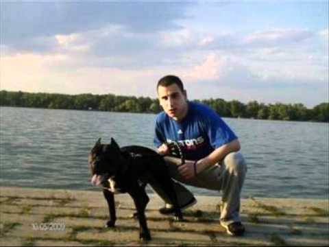 Ajzea - Mobilni telefon feat. Rolex