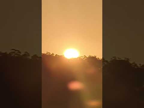 Aussie sunset (golden brown) #bush #nature #sydney #peace #hashtag