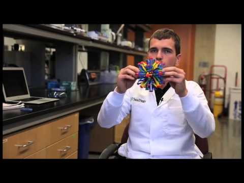 Negative Poisson’s ratio: a rare find in battery materials