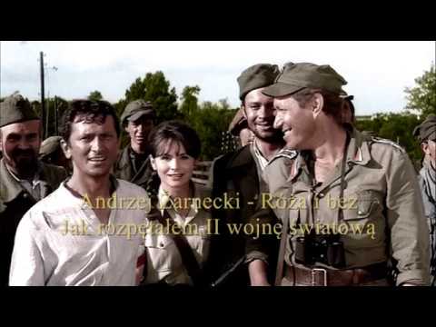 Andrzej Żarnecki   Róża i bez