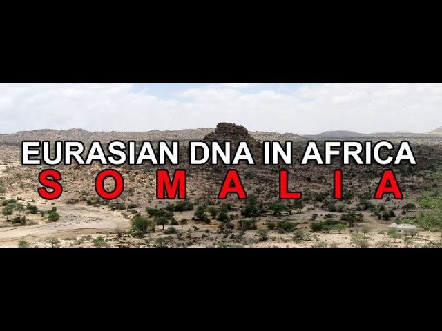 Eurasian DNA in Africa - Somalia