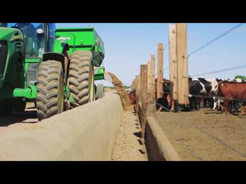 Video MiniDest Estab. Las Peñas