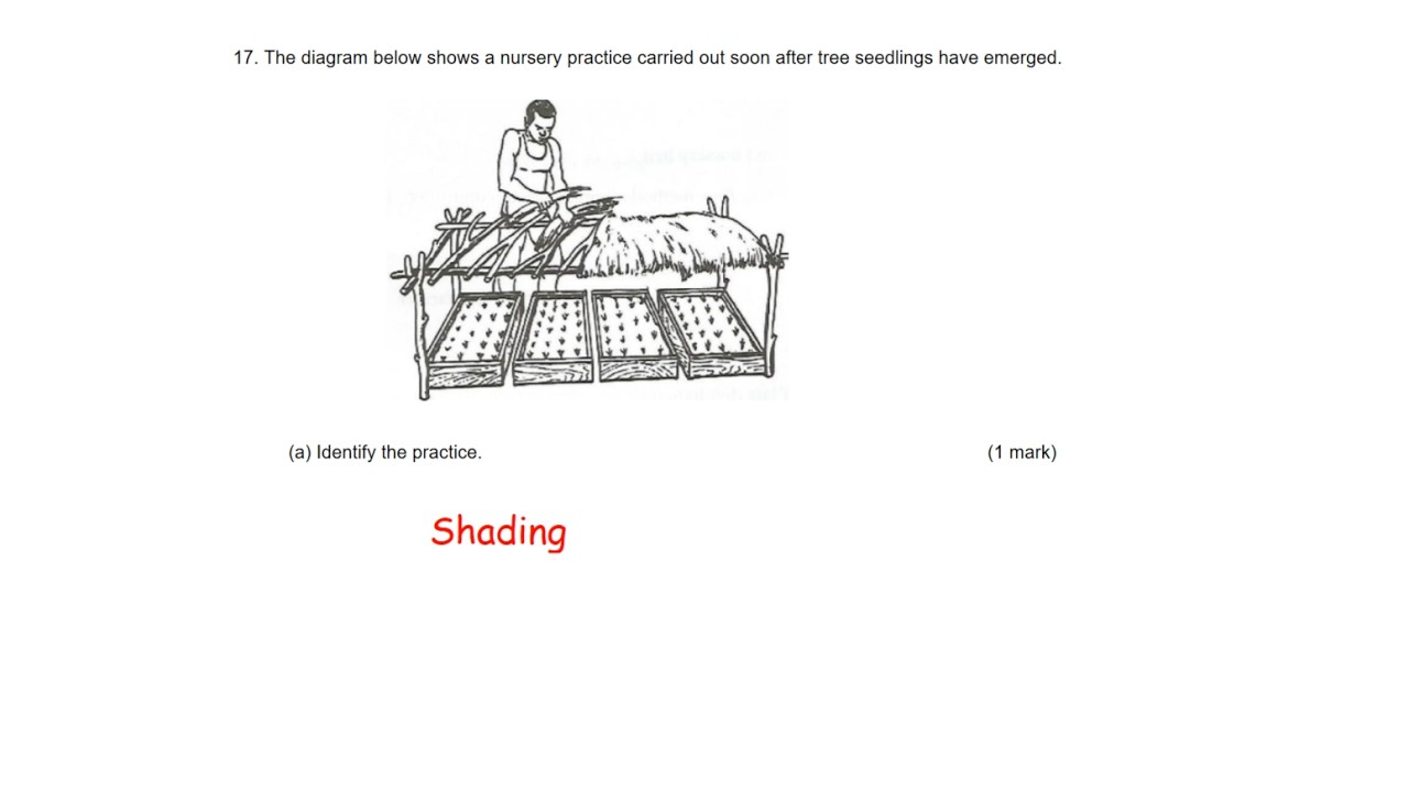 KCSE 2020 paper 1 #agriculture questions and answers #crop production #gardening #education