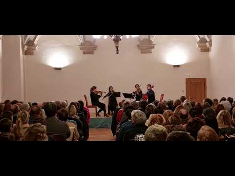 Zažijte koncert Popových a Rockových skladeb v aranžích smyčcového kvarteta