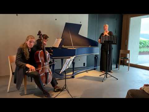 Swiss Baroque Festivals - Eine musikalische Reise durch das hochbarocke Italien