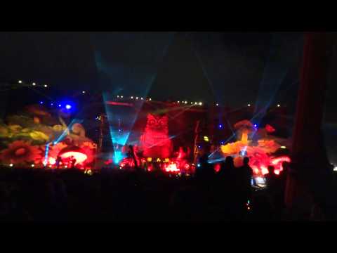 Nocturnal Wonderland 2013 - Martin Solveig