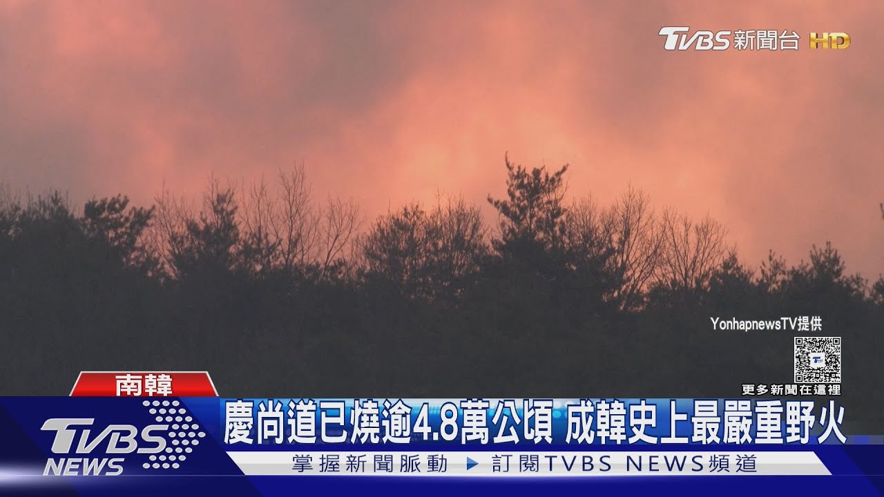 韓颳「近輕颱」強風助長野火 世界遺產「河回村」危險