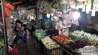 preview picture of video 'Talibon fish & vegtable market'