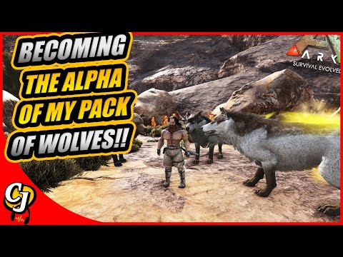 Looking For Some DIREWOLVES So They Can Hunt With The HYAENODONS!! || Ark Story Ep 57!!