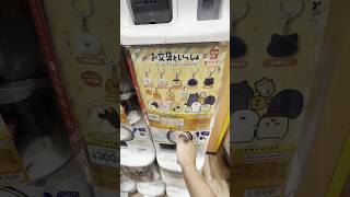 大人気！お文具といっしょ めじるしアクセサリーなのです #お文具さん #ガチャガチャ #開封