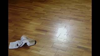 grinch socks crawling