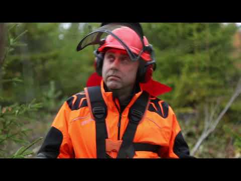 Metsän monipuoliset hyödyt