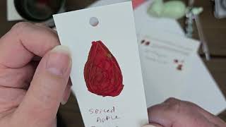 Spiced Apple Ink Review Diamine Inkvent 2022 - Cabbage Patch Soap