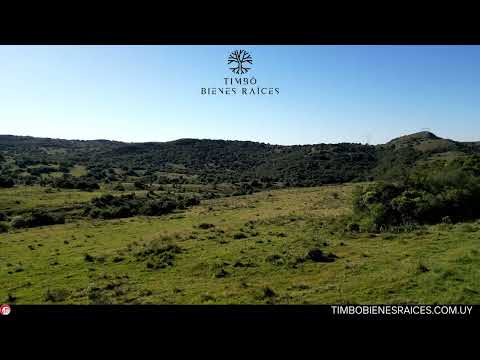 Campo Lavalleja a la Venta, 39 has Pororó