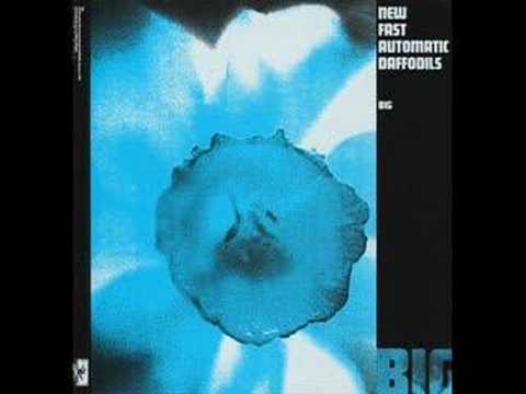New Fast Automatic Daffodils - Big (Baka)