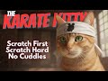 The Karate Kitty Karate Kid 1984 Movie With My Pet Eliot
