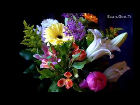 En Güzel Seçme ilahiler 2015