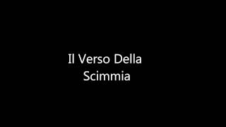 Il Verso Della Scimmia Video Interattivo