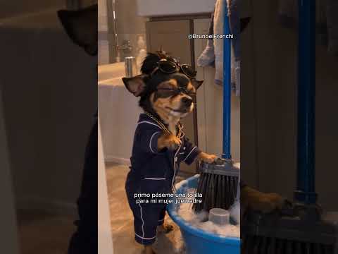 🧹🐶 ¡JUEMADRE! ¡MI PRIMO BIRUÑAS SE ENAMORÓ DE UNA ESCOBA! 😭🤣💀