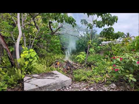 Niue 2024 | Mutalau | A look at old homes, short drive video