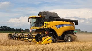 preview picture of video 'Loonwerk De Bruyne - New Holland CX8090 - triticale'