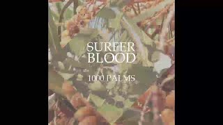 Surfer Blood - NW Passage
