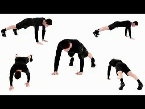A mięśnie anatomia program komputerowy Mięśniowe witarianie
