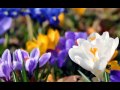 С наступающим 8 марта! 