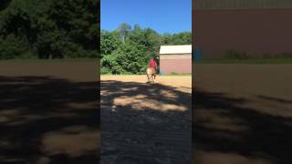 Building The Circles In The Practice Arena