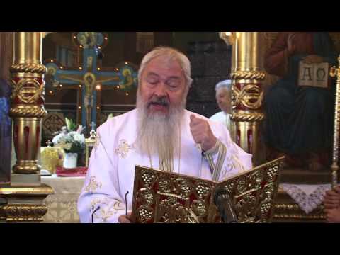 Predică IPS Andrei 27 martie 2016 - Doctorul sufletelor și al trupurilor