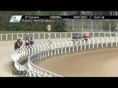 210709 c02 - MARAVILLA VAN - HIPODROMO LAS PIEDRAS