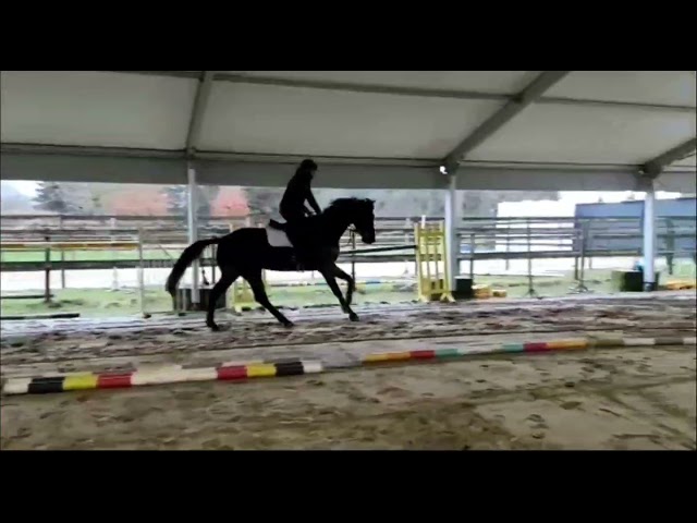 Jumping under the saddle