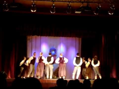 JDK "Austriņš" - Gailis un vista